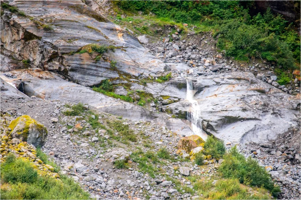 Detail Alaska Glacier Cruise Scenic View Number 16