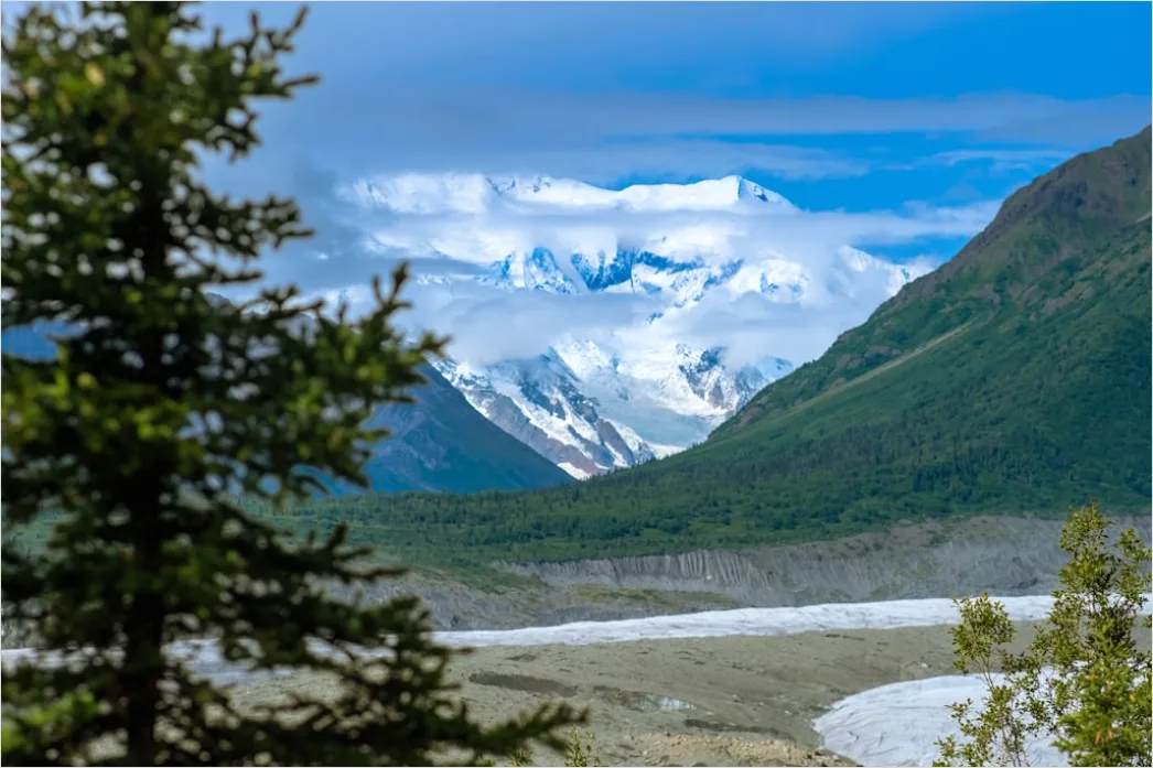Detail Alaska Glacier Cruise Scenic View Number 5