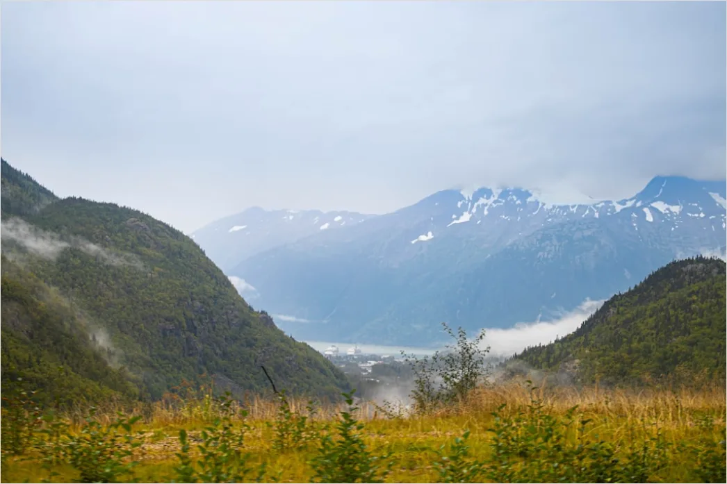 Detail Alaska Glacier Cruise Scenic View Number 6