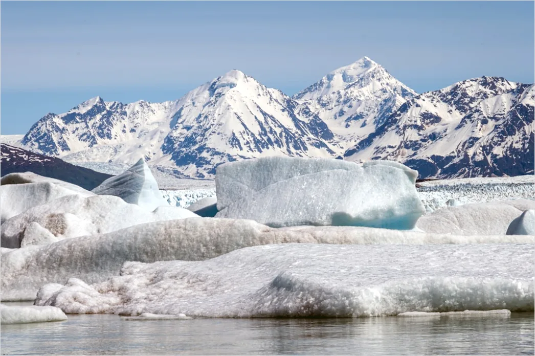 Detail Alaska Glacier Cruise Scenic View Number 7