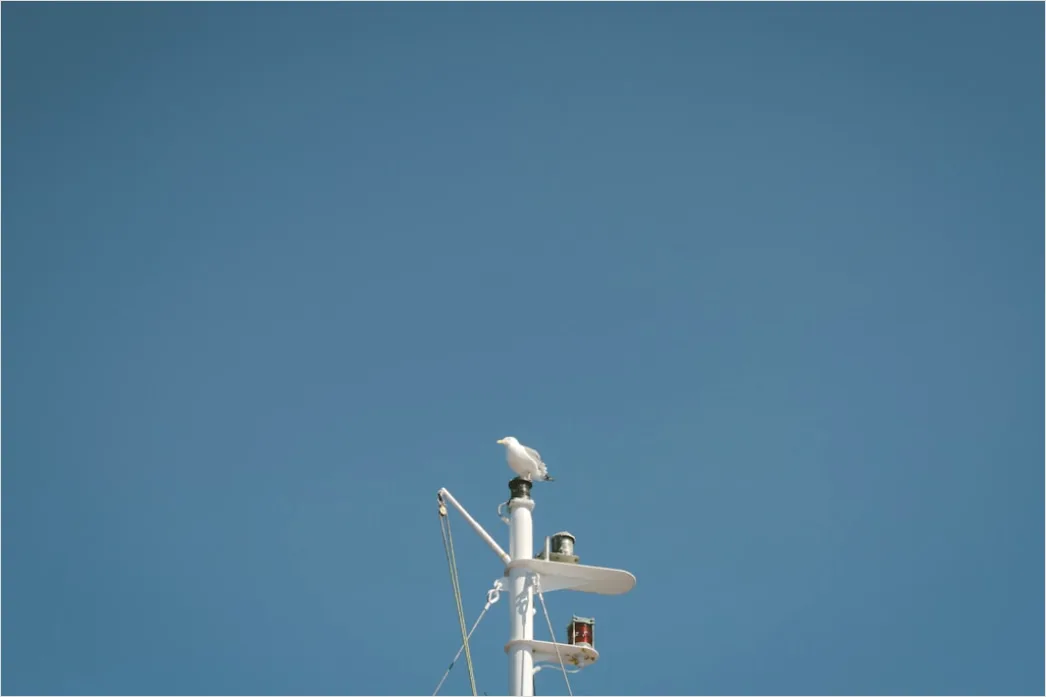 Detail Anemometer Wind Speed Sensor Close Up Number 9