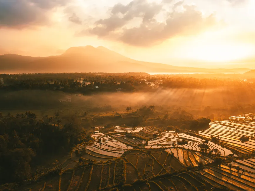 Detail Bali Rice Terrace Sunrise Mist Number 2