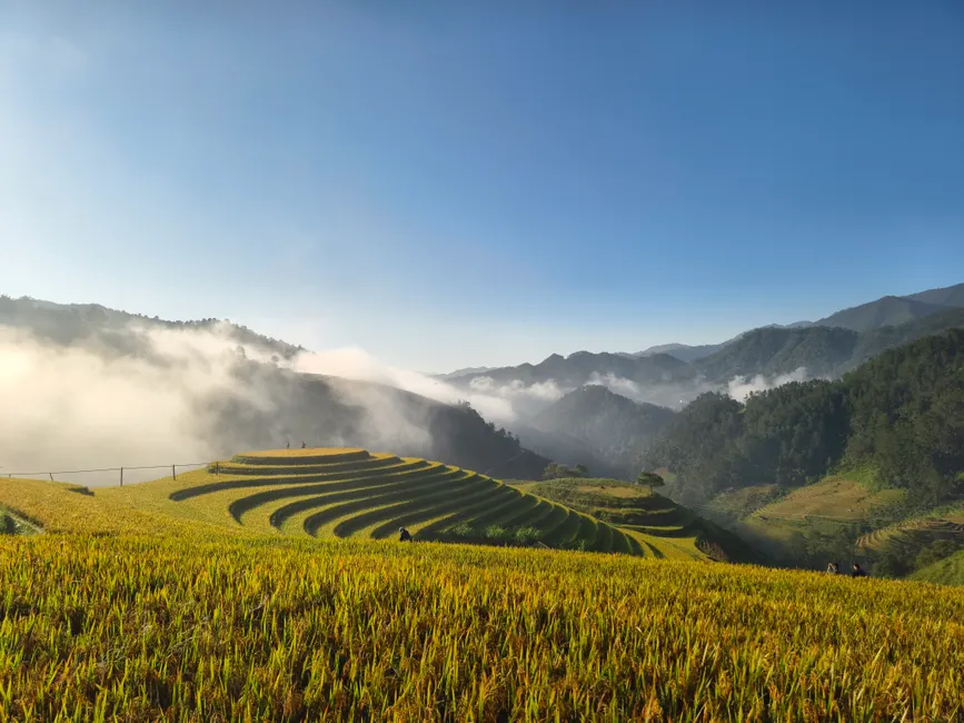Detail Bali Rice Terrace Sunrise Mist Number 15