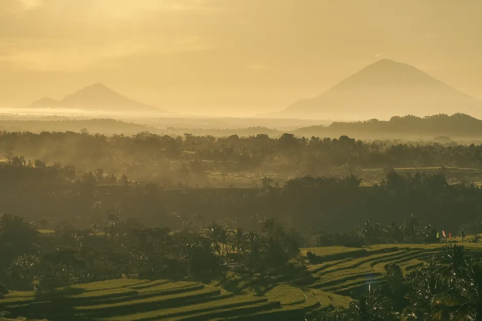 Detail Bali Rice Terrace Sunrise Mist Number 4