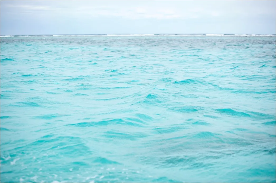 Detail Belize Barrier Reef Snorkeling Scene Number 7