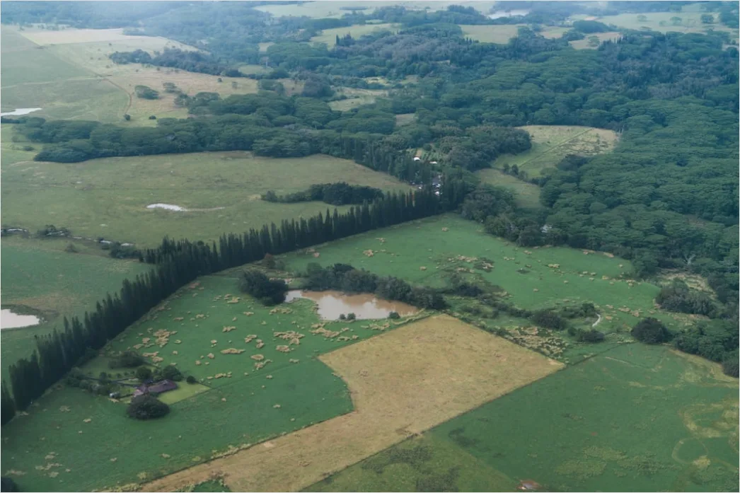 Birds Eye View Landscape Df45