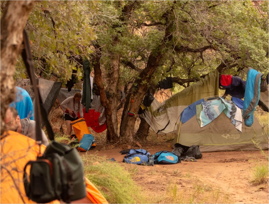 Detail Camping Gear Setup Campsite Scene Number 3