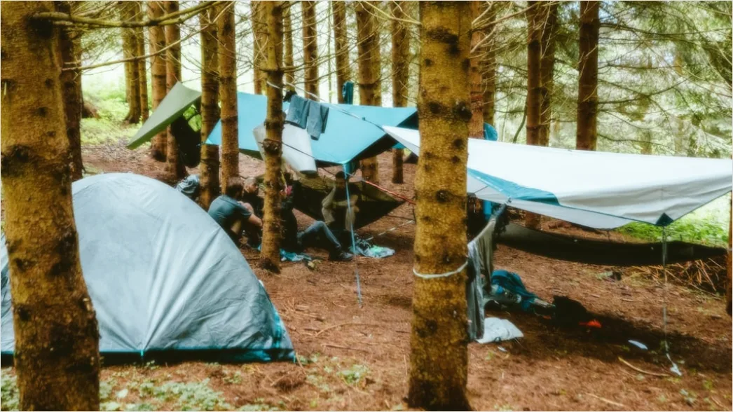 Detail Camping Gear Setup Campsite Scene Number 5