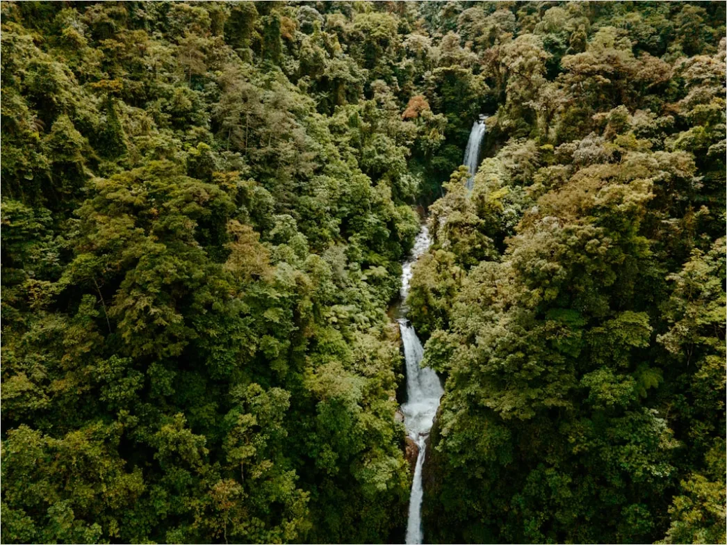 Detail Costa Rica Rainforest Waterfall Hike Number 2