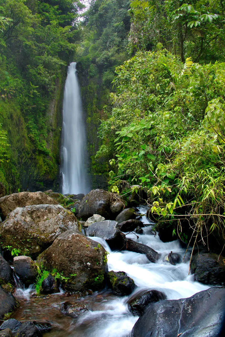 Detail Costa Rica Rainforest Waterfall Hike Number 12