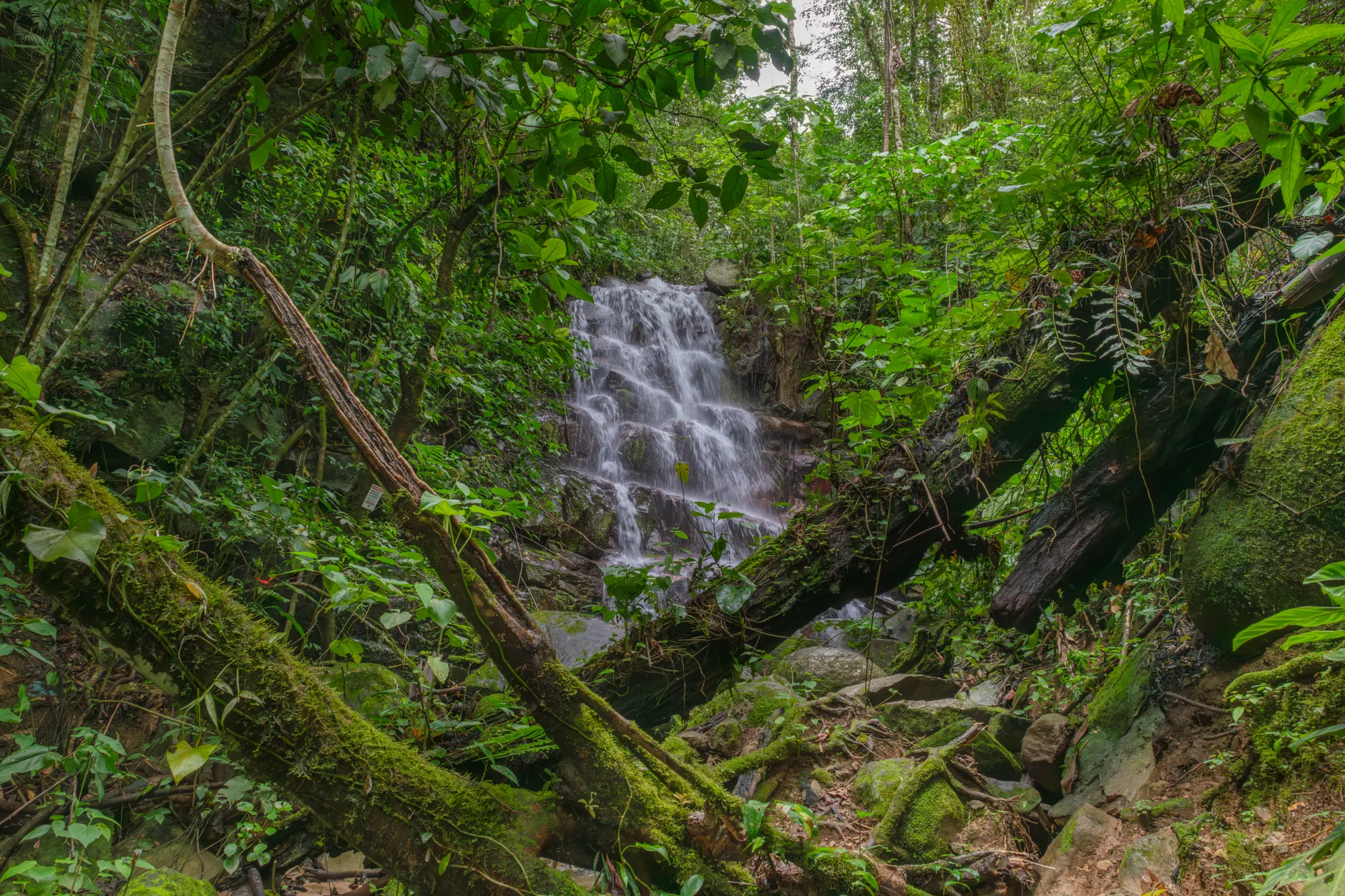 Detail Costa Rica Rainforest Waterfall Hike Number 14