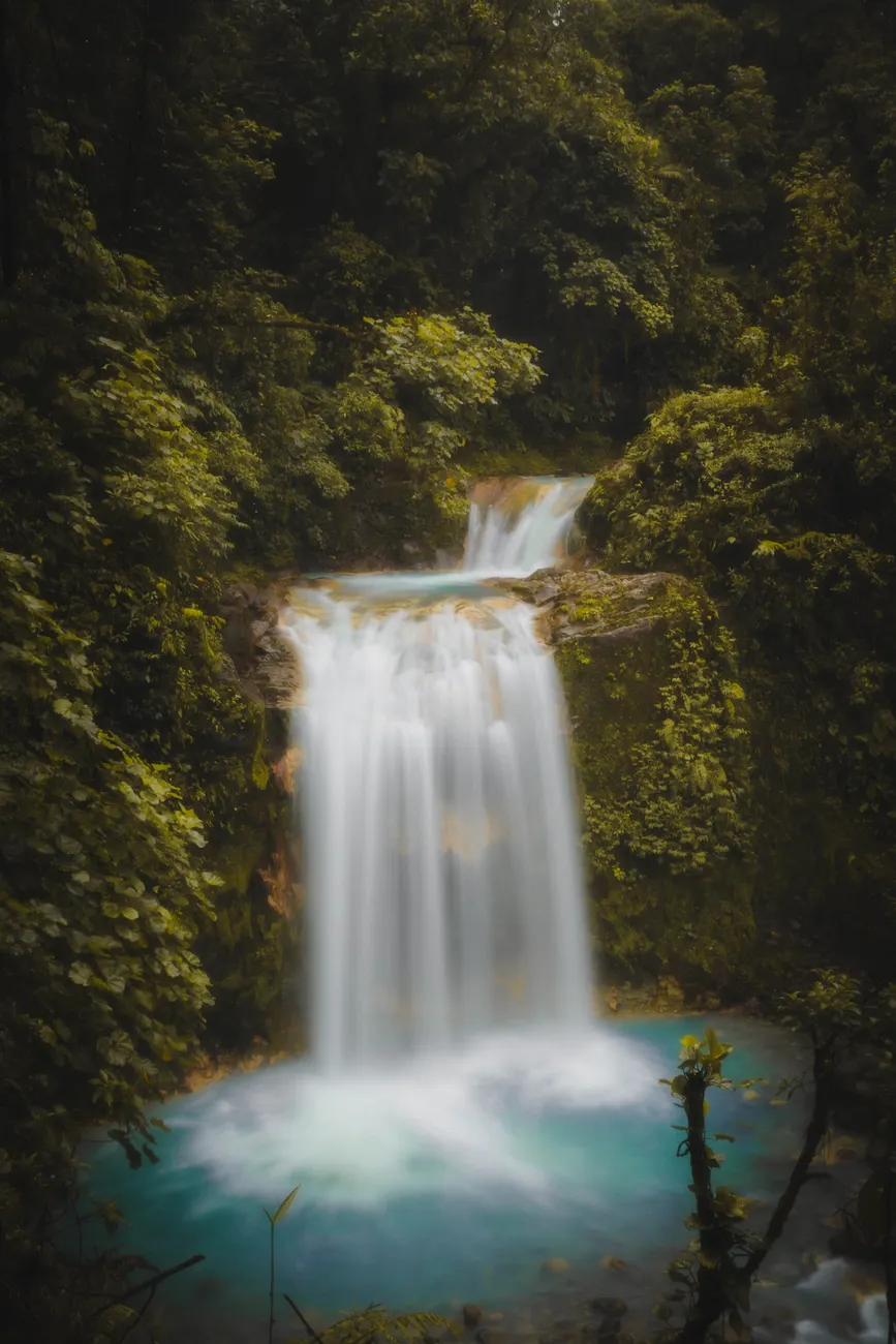 Detail Costa Rica Rainforest Waterfall Hike Number 15
