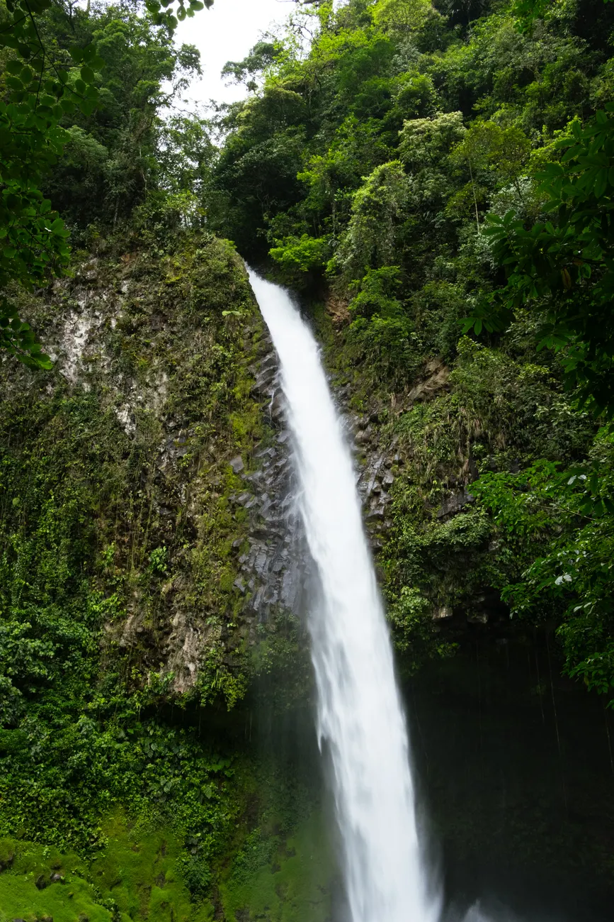 Detail Costa Rica Rainforest Waterfall Hike Number 16