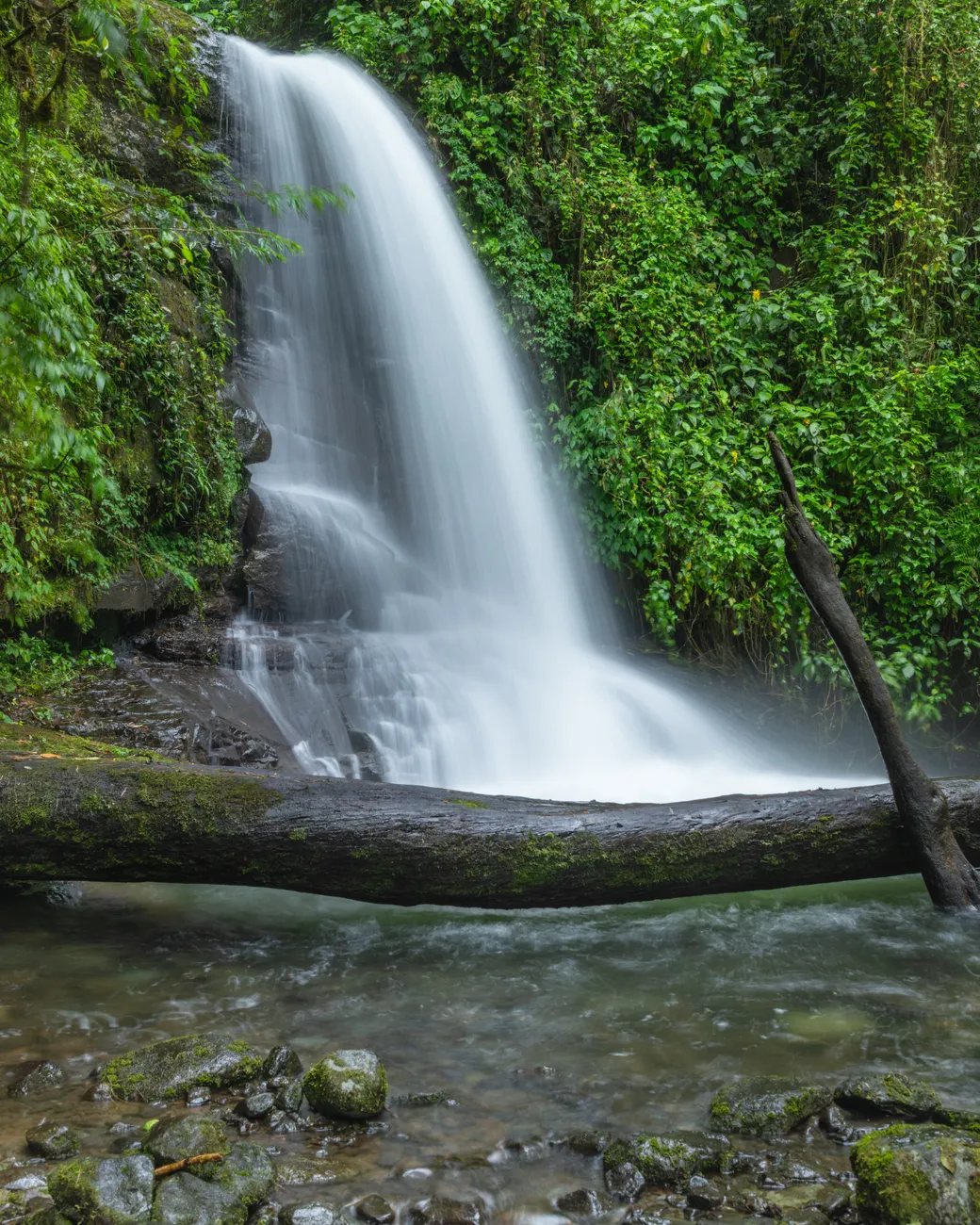 Detail Costa Rica Rainforest Waterfall Hike Number 20