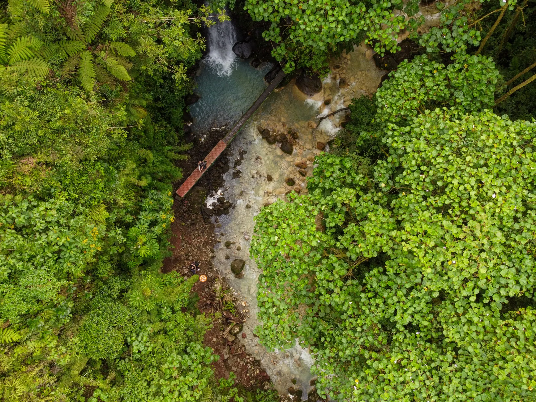Detail Costa Rica Rainforest Waterfall Hike Number 23