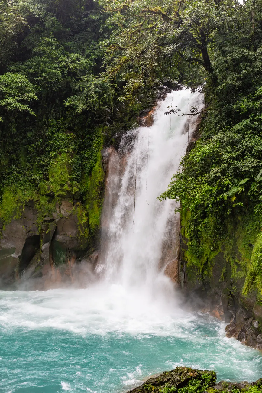 Detail Costa Rica Rainforest Waterfall Hike Number 24