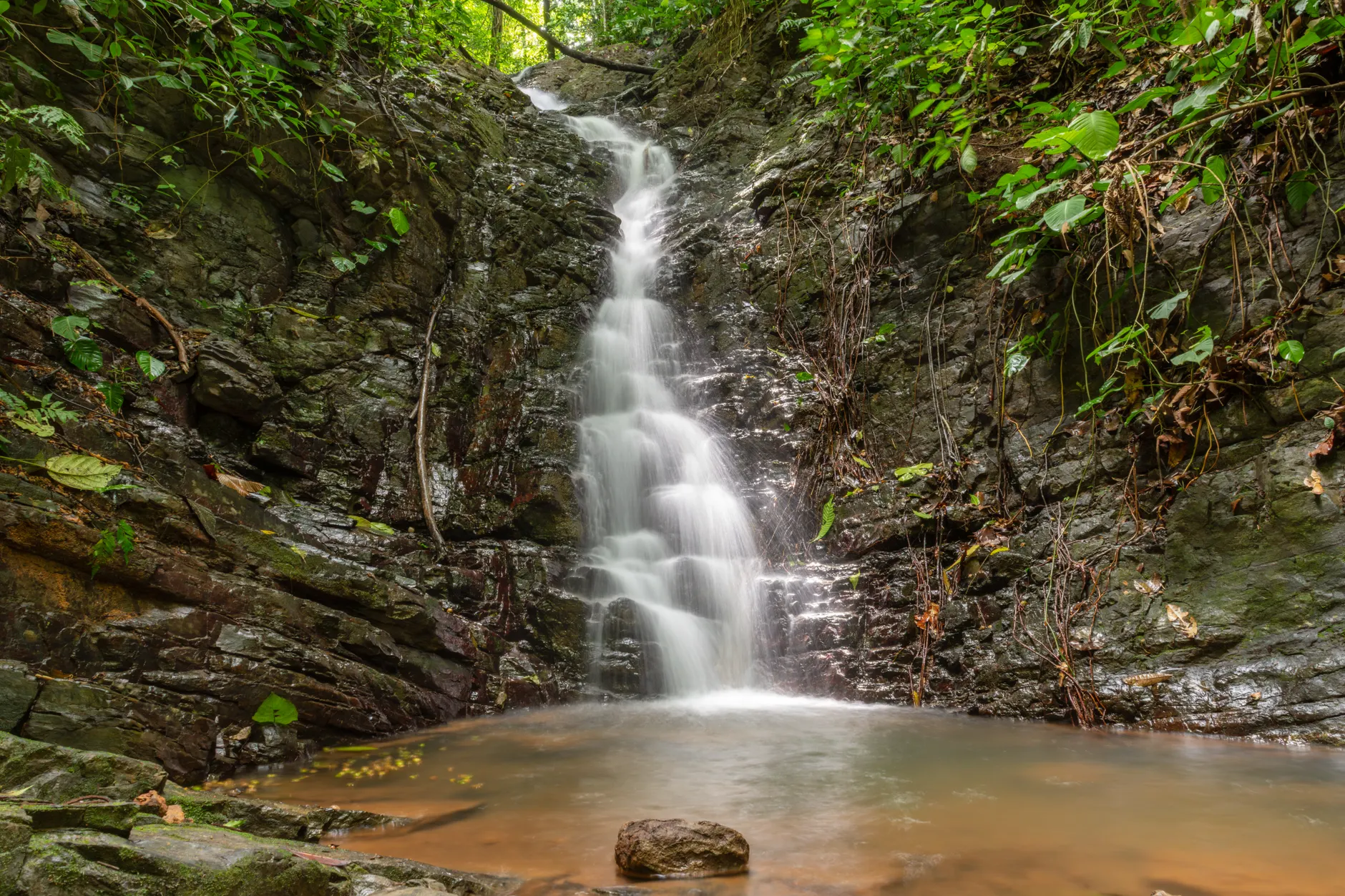Detail Costa Rica Rainforest Waterfall Hike Number 25