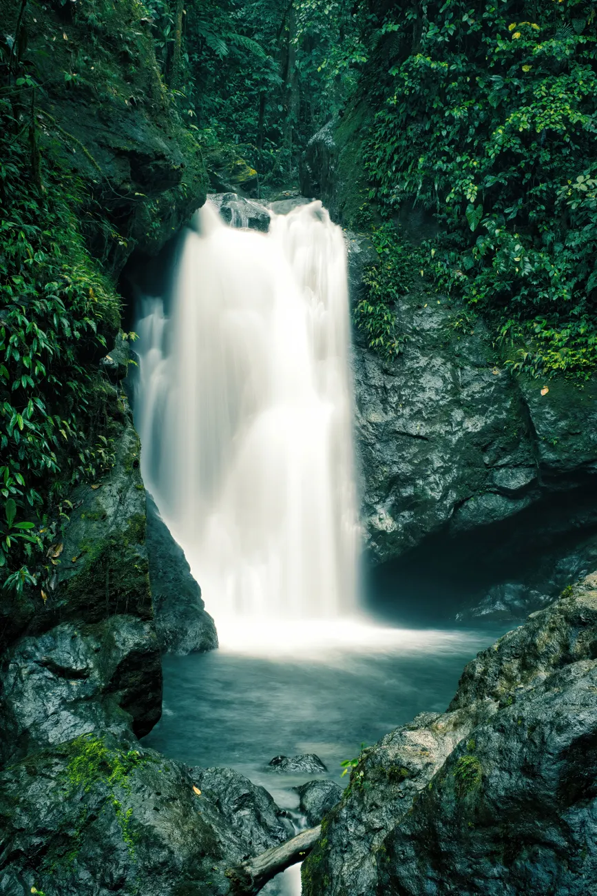 Detail Costa Rica Rainforest Waterfall Hike Number 9