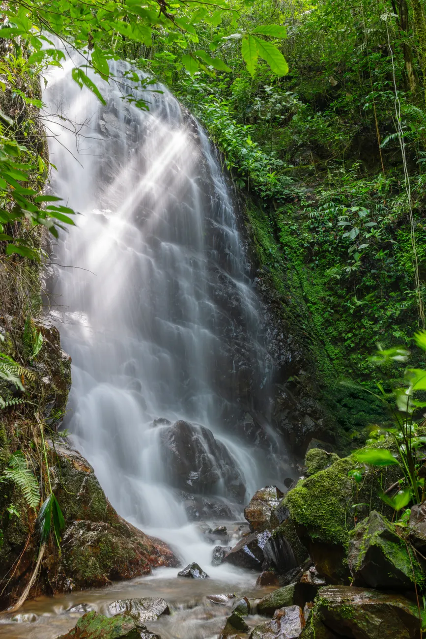 Detail Costa Rica Rainforest Waterfall Hike Number 10