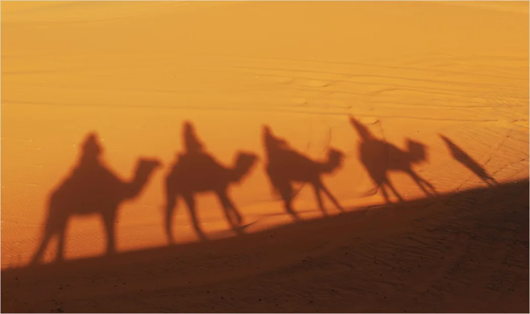 Detail Desert Dunes Golden Hour Shadows Number 12