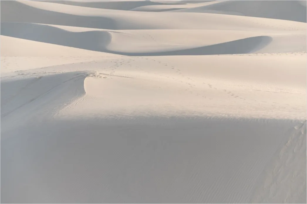Detail Desert Dunes Golden Hour Shadows Number 13