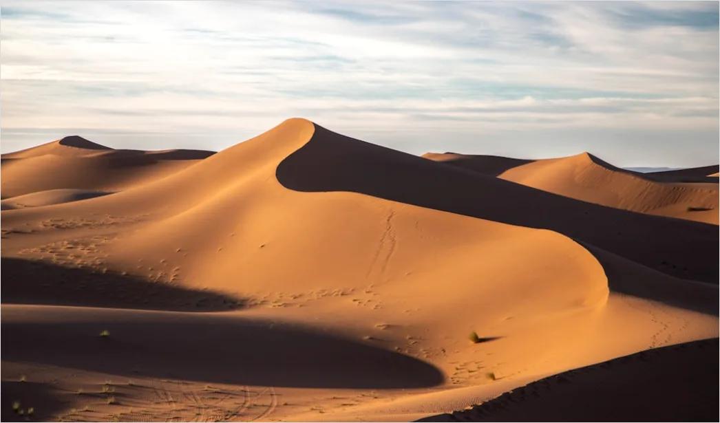 Detail Desert Dunes Golden Hour Shadows Number 15