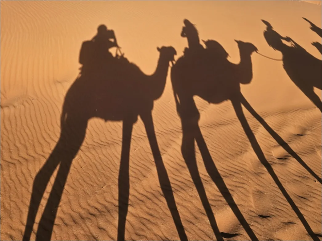 Detail Desert Dunes Golden Hour Shadows Number 16