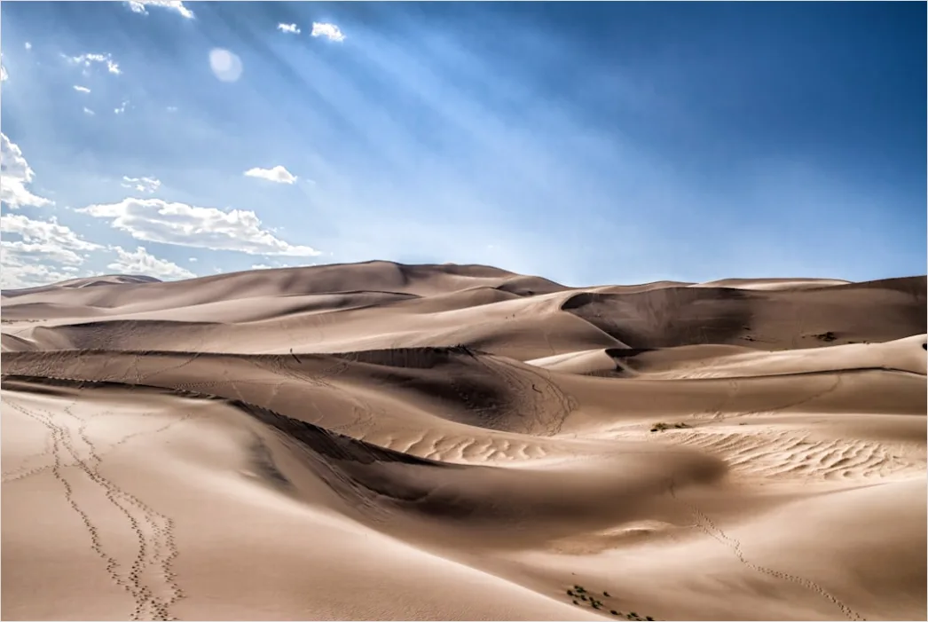 Detail Desert Dunes Golden Hour Shadows Number 9