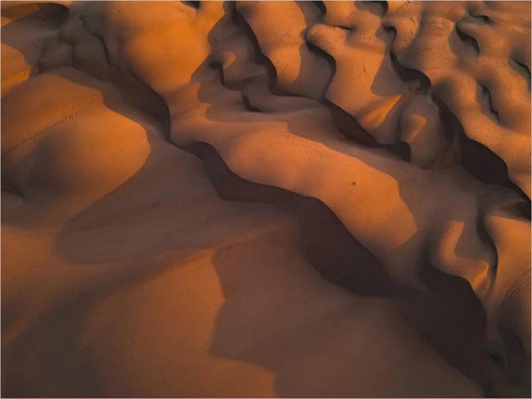Detail Desert Dunes Wind Ripples Texture Number 2
