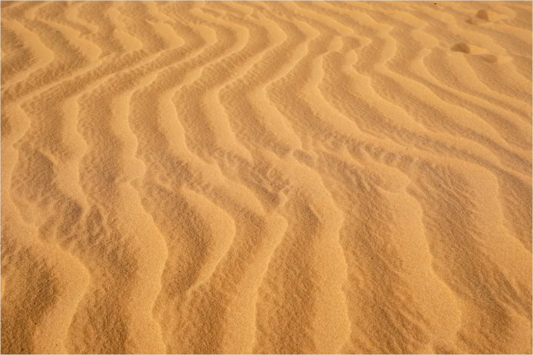 Detail Desert Dunes Wind Ripples Texture Number 11