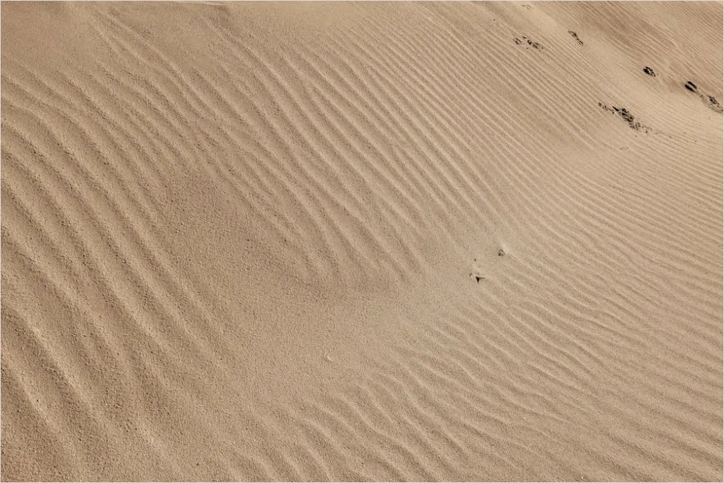 Detail Desert Dunes Wind Ripples Texture Number 12
