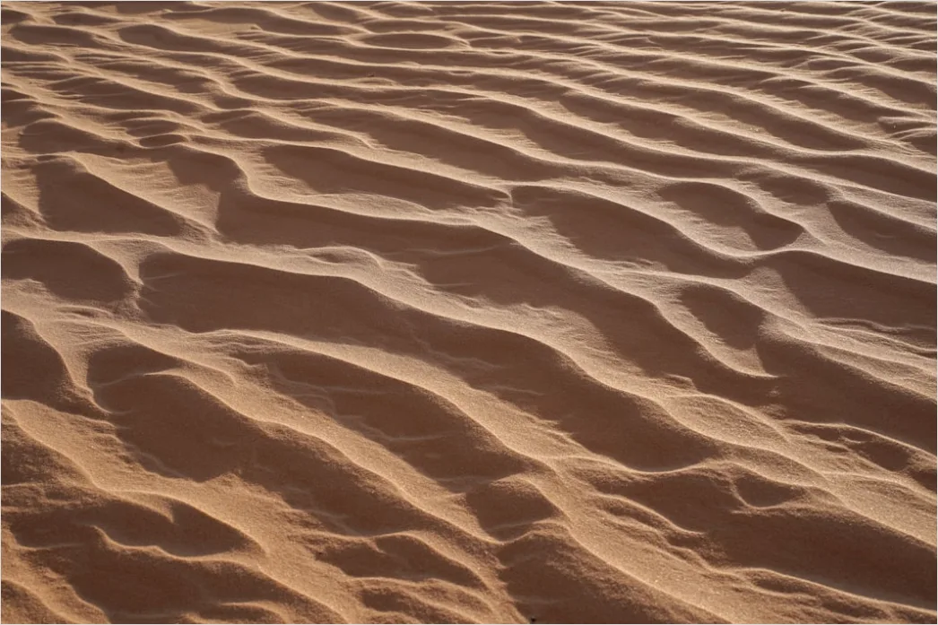 Detail Desert Dunes Wind Ripples Texture Number 14