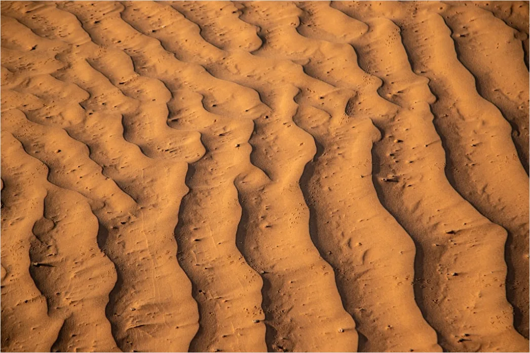 Detail Desert Dunes Wind Ripples Texture Number 17