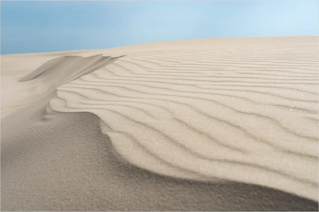 Detail Desert Dunes Wind Ripples Texture Number 19