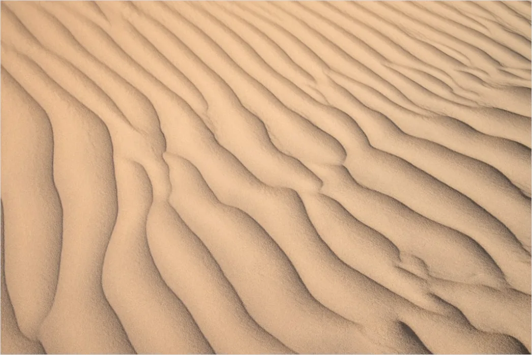 Detail Desert Dunes Wind Ripples Texture Number 4