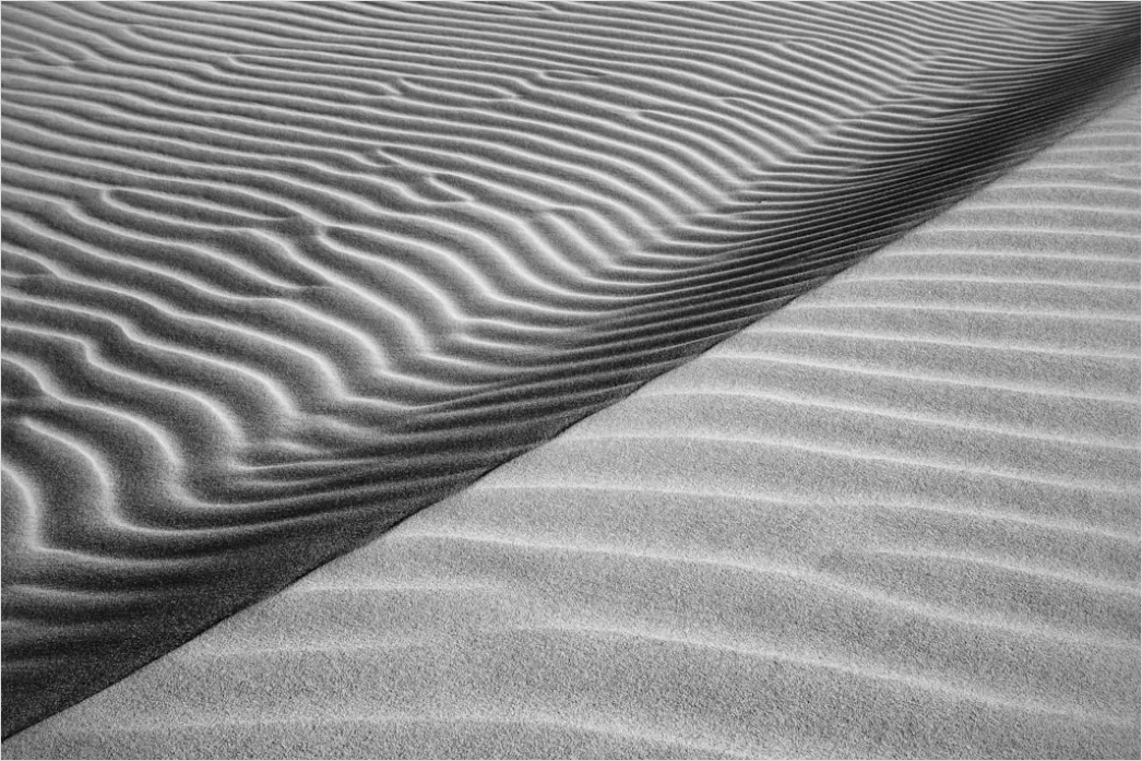 Detail Desert Dunes Wind Ripples Texture Number 5