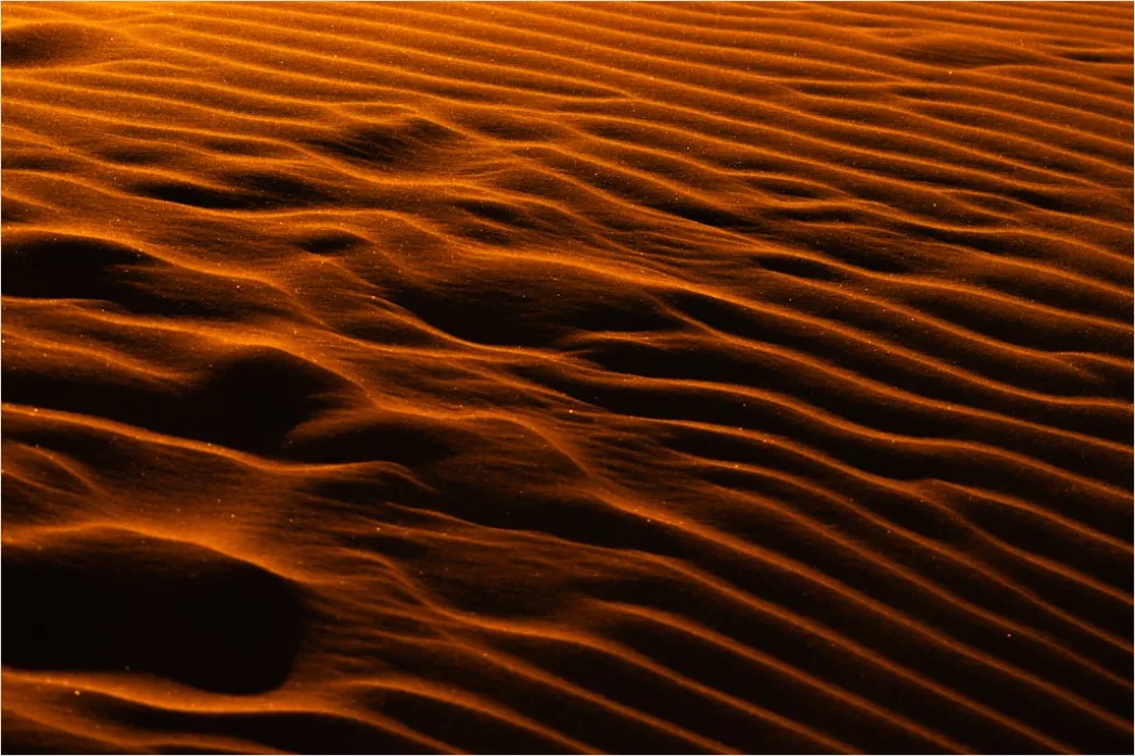 Detail Desert Dunes Wind Ripples Texture Number 6