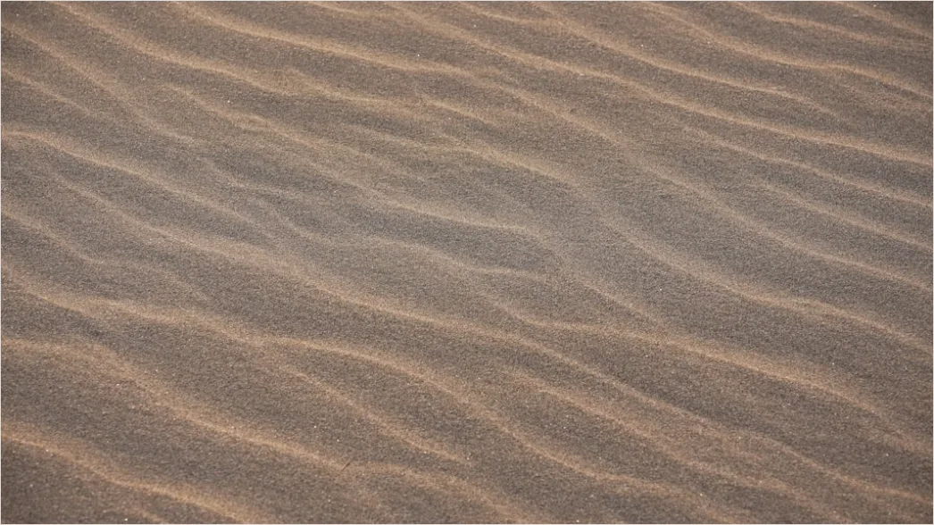 Detail Desert Dunes Wind Ripples Texture Number 8