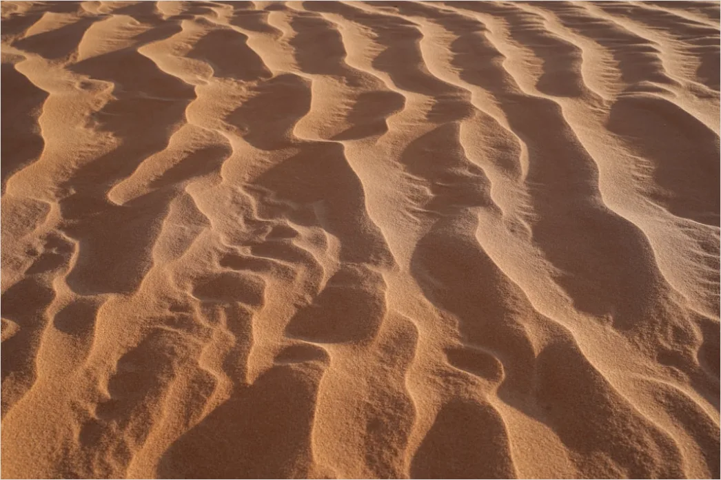 Detail Desert Dunes Wind Ripples Texture Number 10