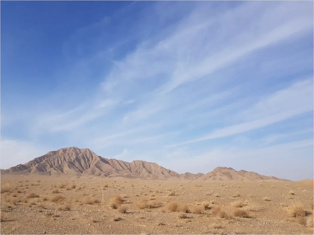 Desert Landscape Harsh Midday Sun 949d