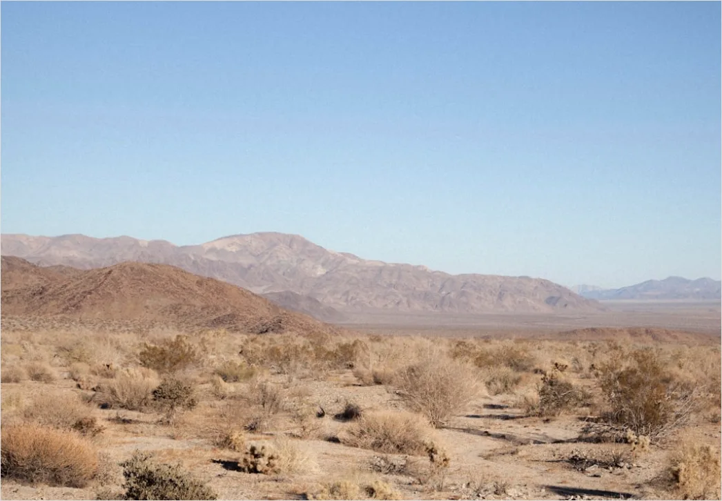 Detail Desert Landscape Harsh Midday Sun Number 12