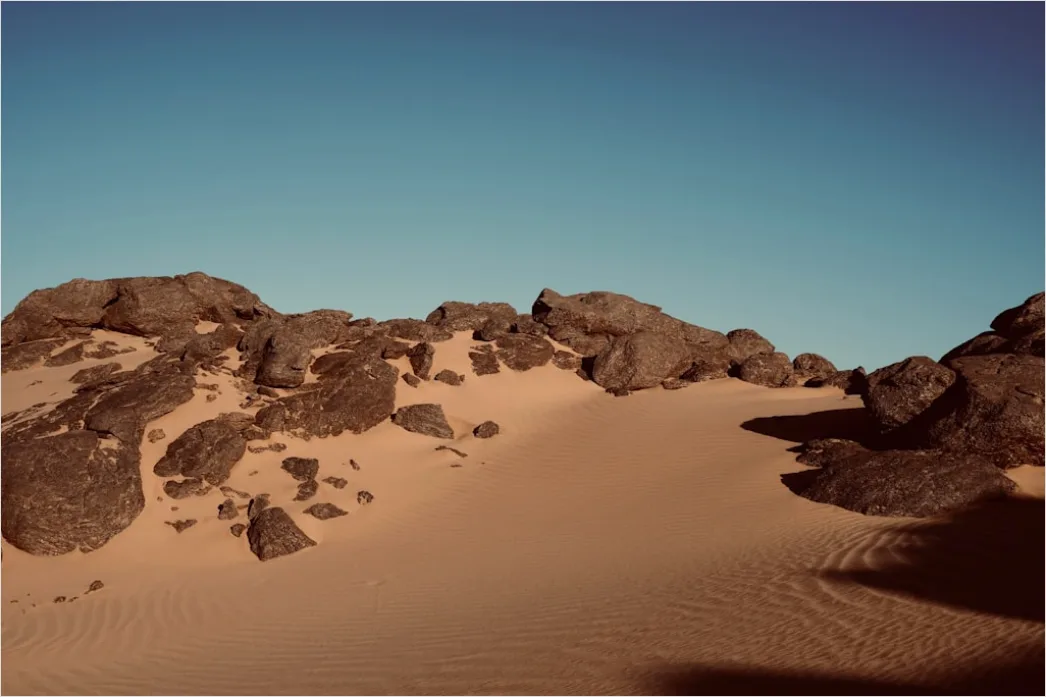 Detail Desert Landscape Harsh Midday Sun Number 14