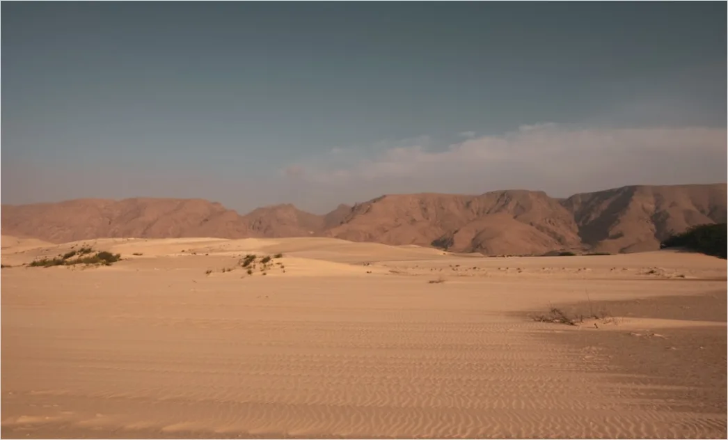 Detail Desert Landscape Harsh Midday Sun Number 17