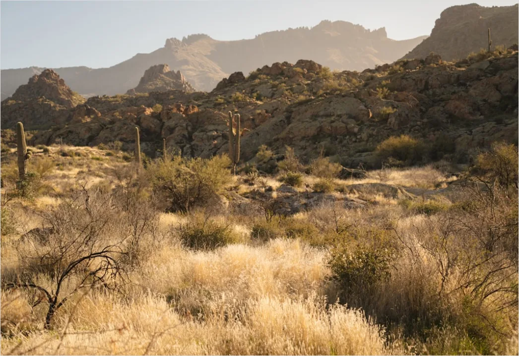 Detail Desert Landscape Harsh Midday Sun Number 20