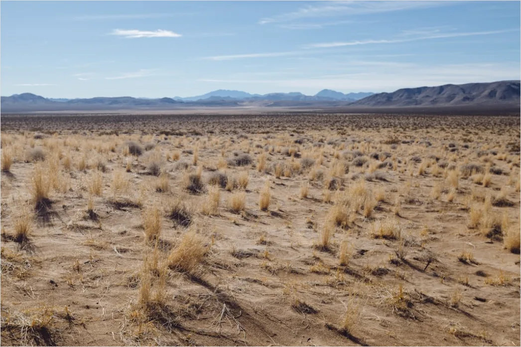 Detail Desert Landscape Harsh Midday Sun Number 5