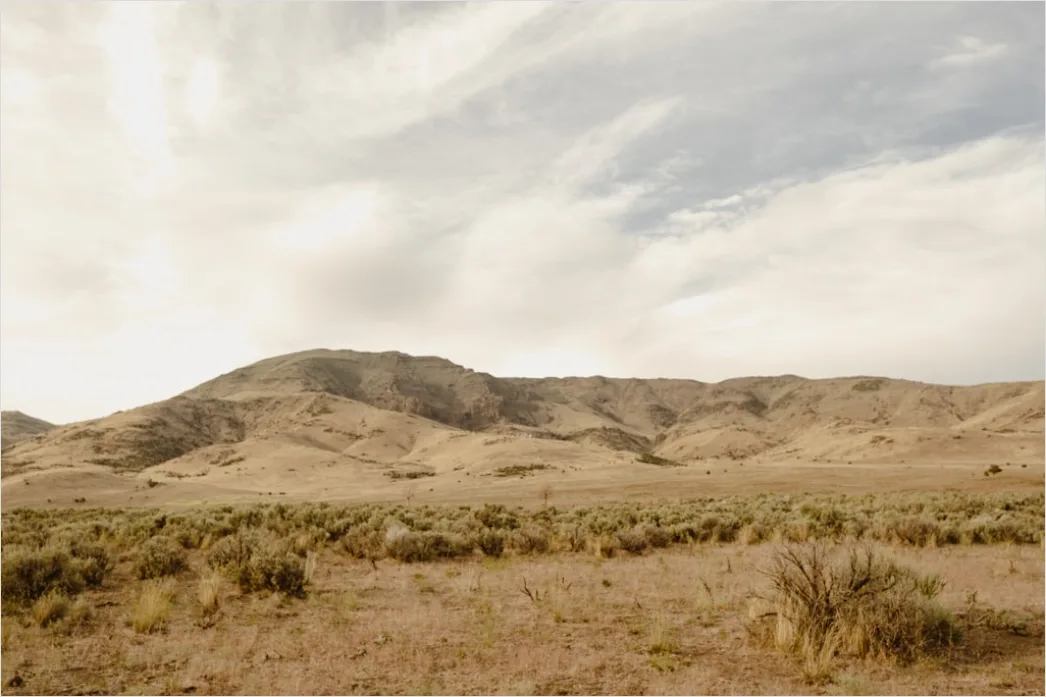 Detail Desert Landscape Harsh Midday Sun Number 6
