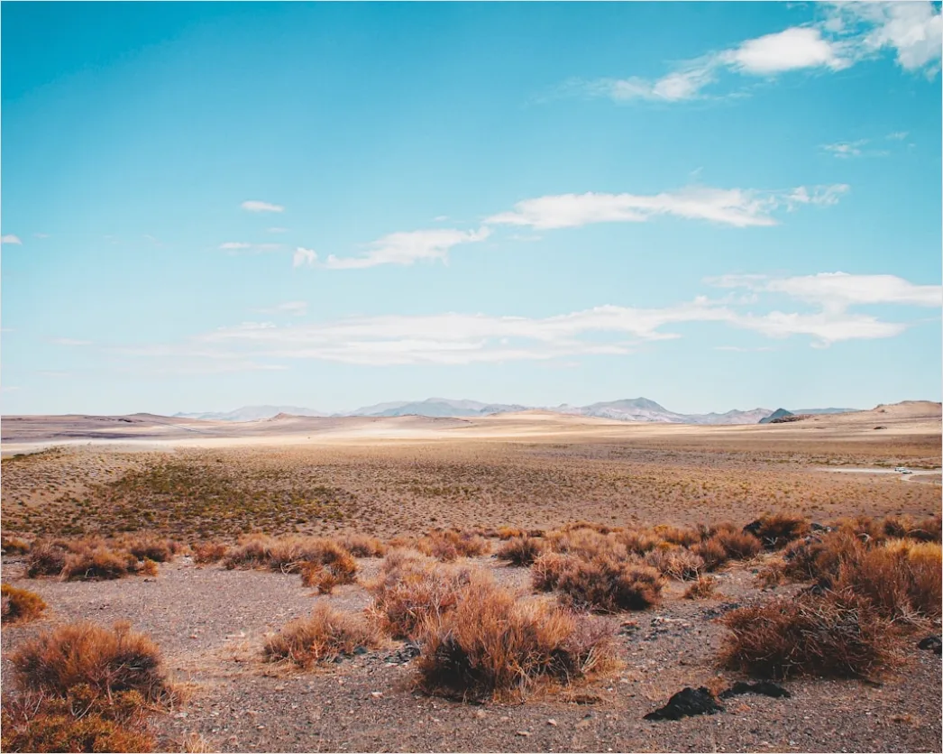 Detail Desert Landscape Harsh Midday Sun Number 7