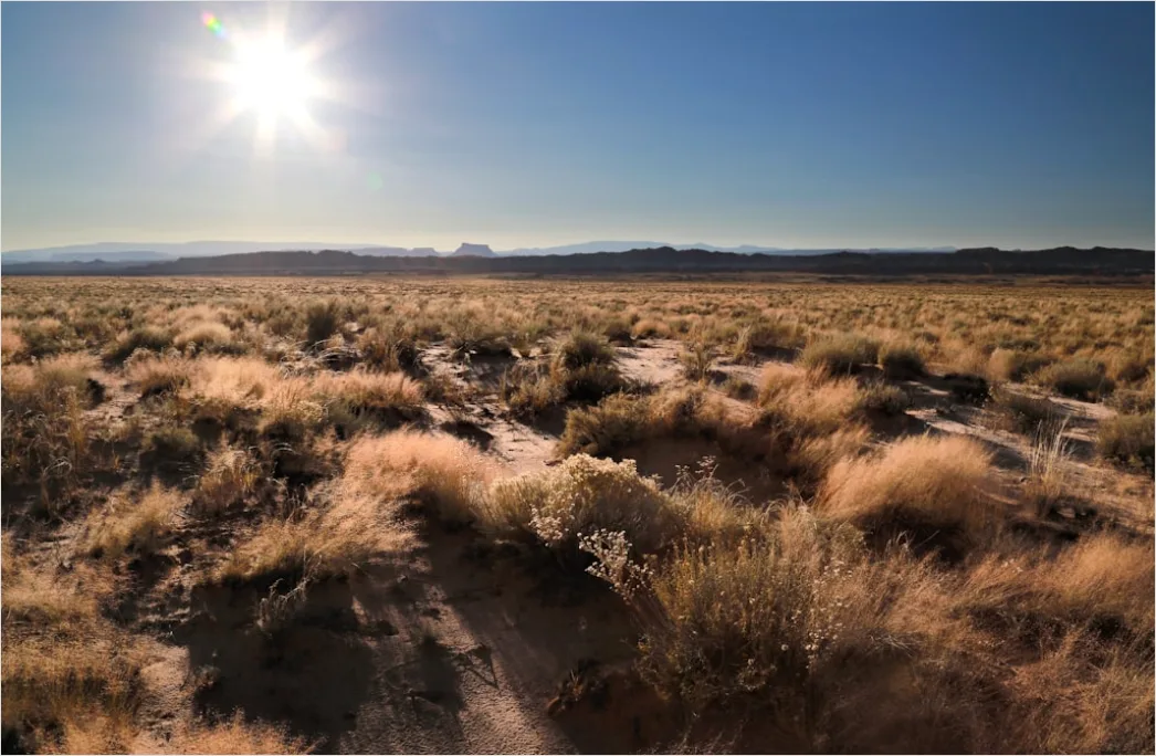 Detail Desert Landscape Harsh Midday Sun Number 9