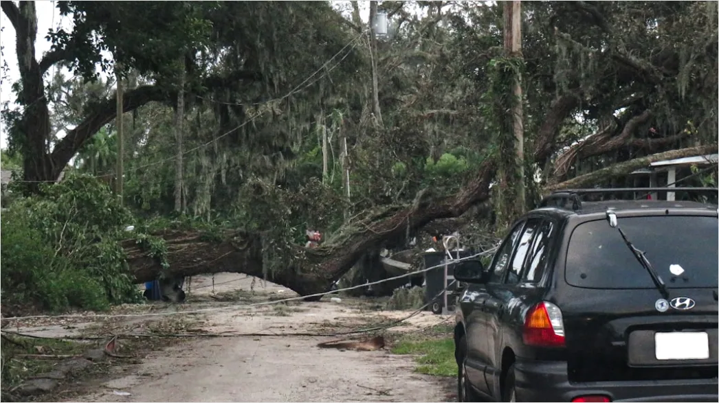 Downed Power Lines Storm Damage 28b2