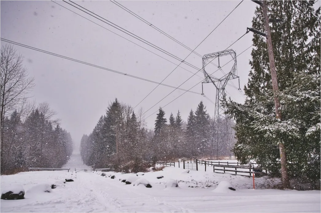 Detail Downed Power Lines Storm Damage Number 11